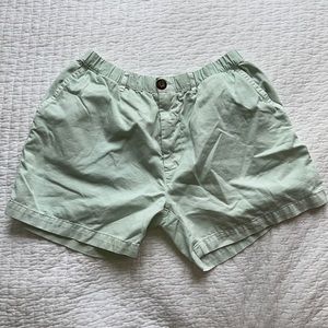 Chubbies Mint Shorts